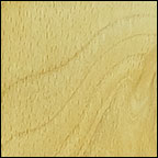 European Beech