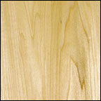 Poplar